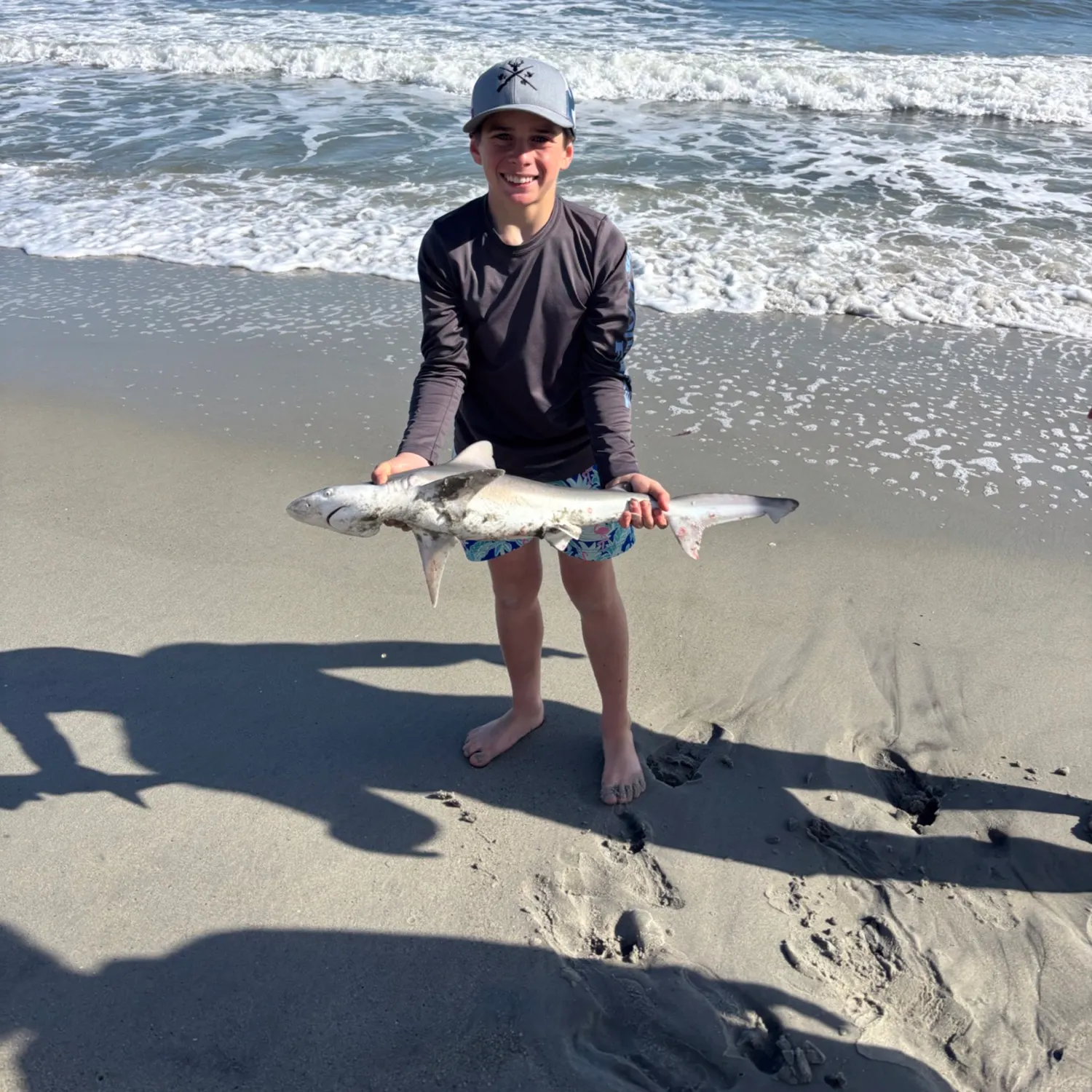 The most recent Bull shark catches on Fishbrain