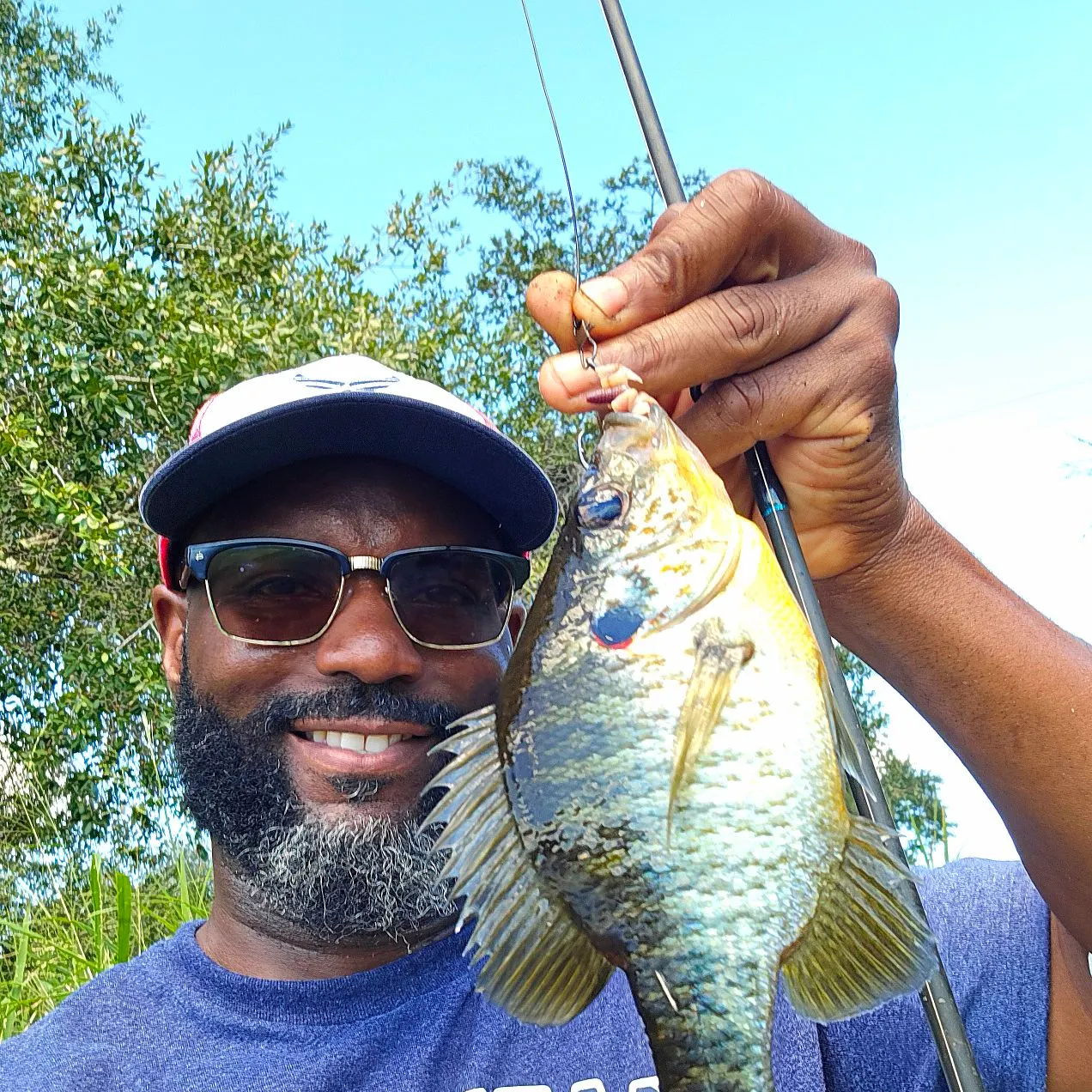Redear sunfish caught on Fishbrain