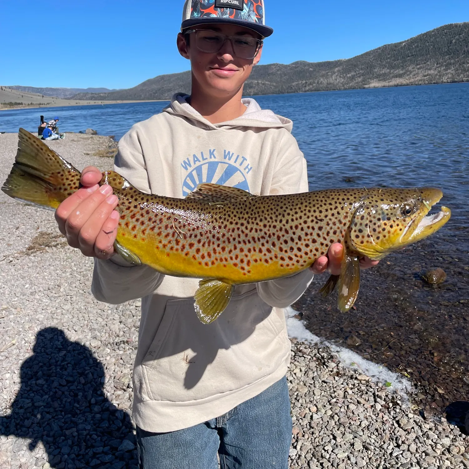 Brown trout caught on Fishbrain