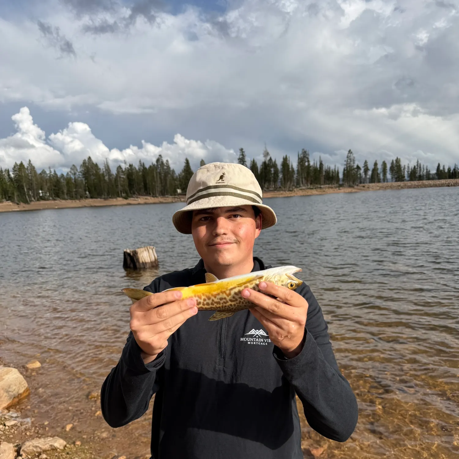 Tiger trout caught on Fishbrain