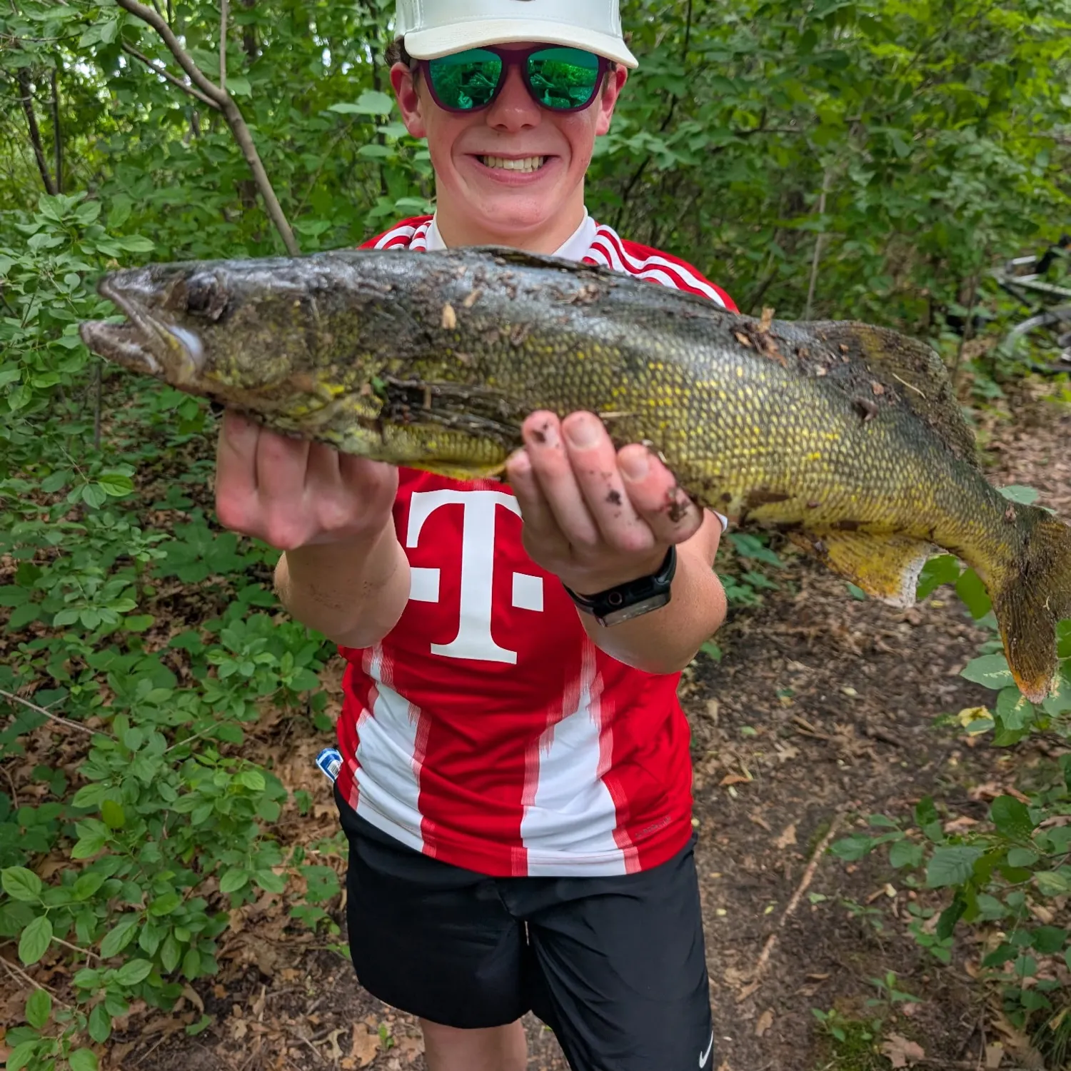 Walleye caught on Fishbrain