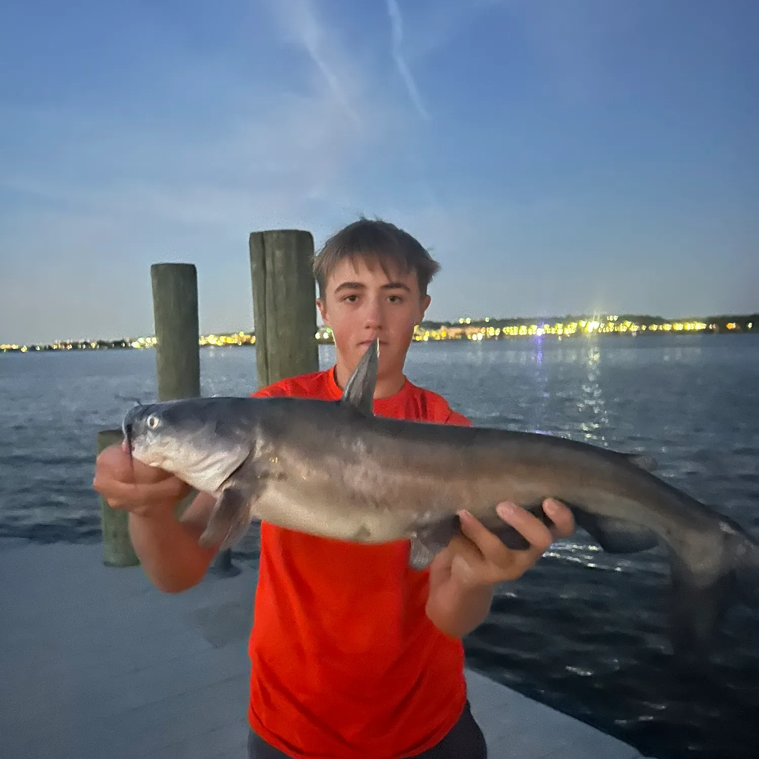 Blue catfish caught on Fishbrain