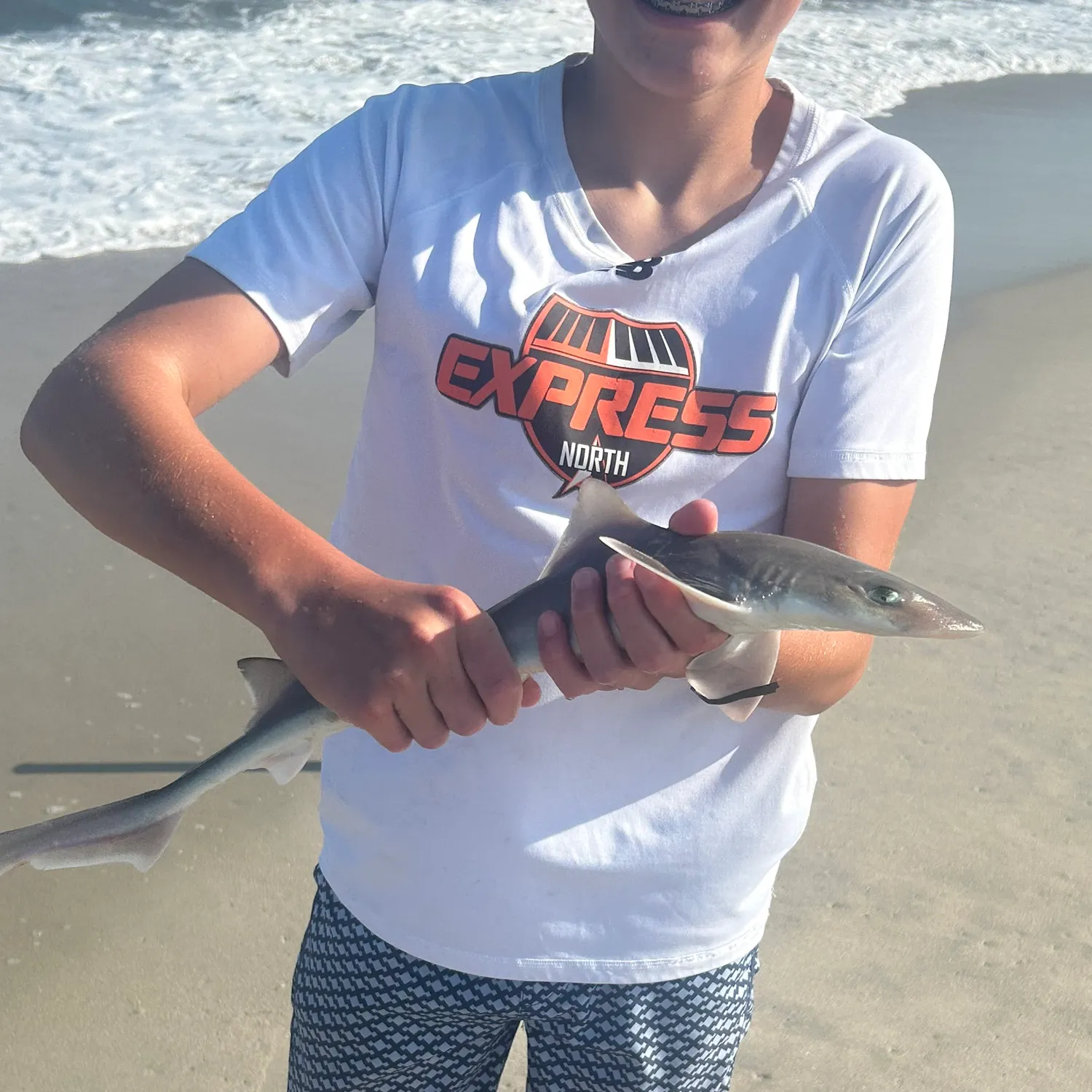 The most recent Dusky smooth-hound catches on Fishbrain