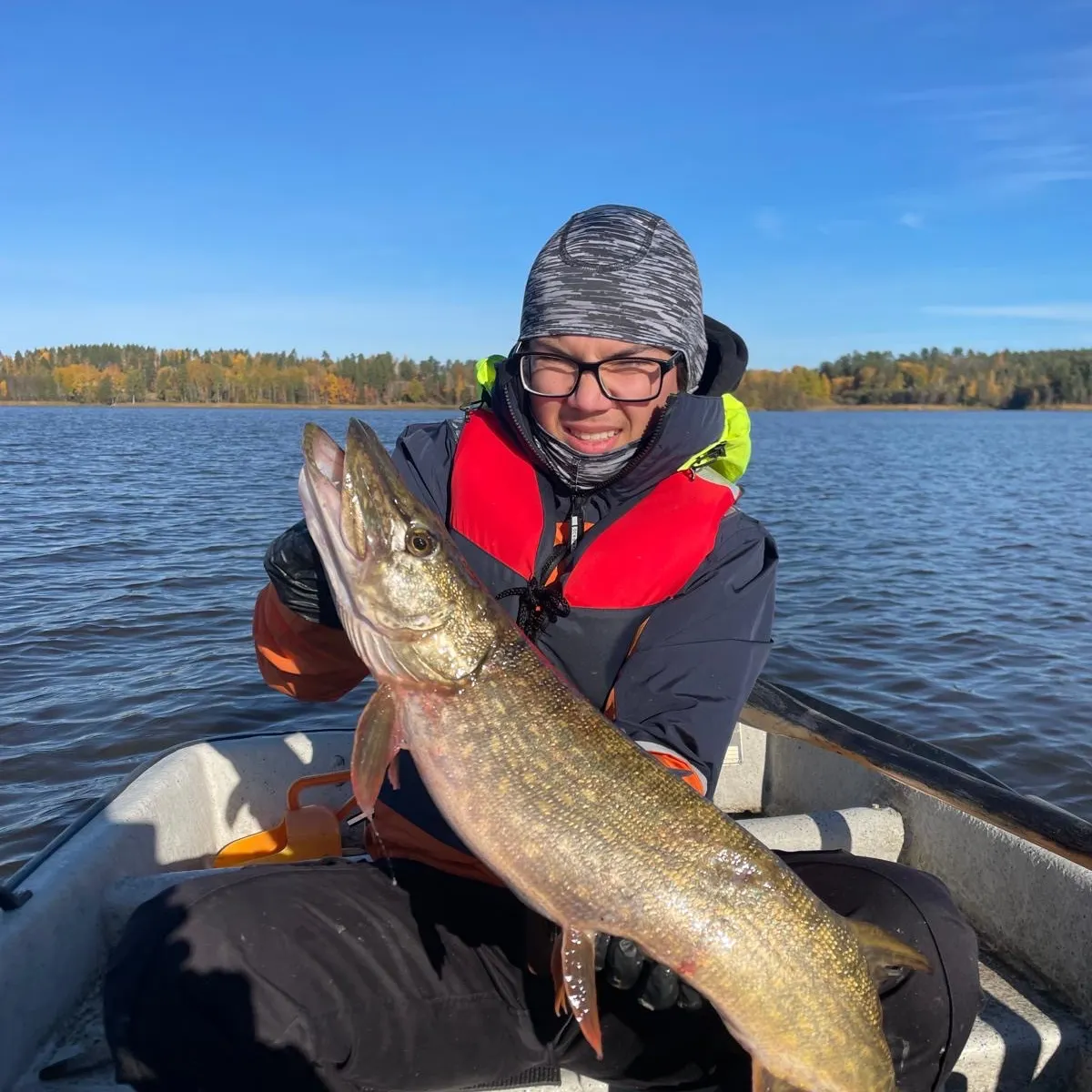 Northern pike caught on Fishbrain