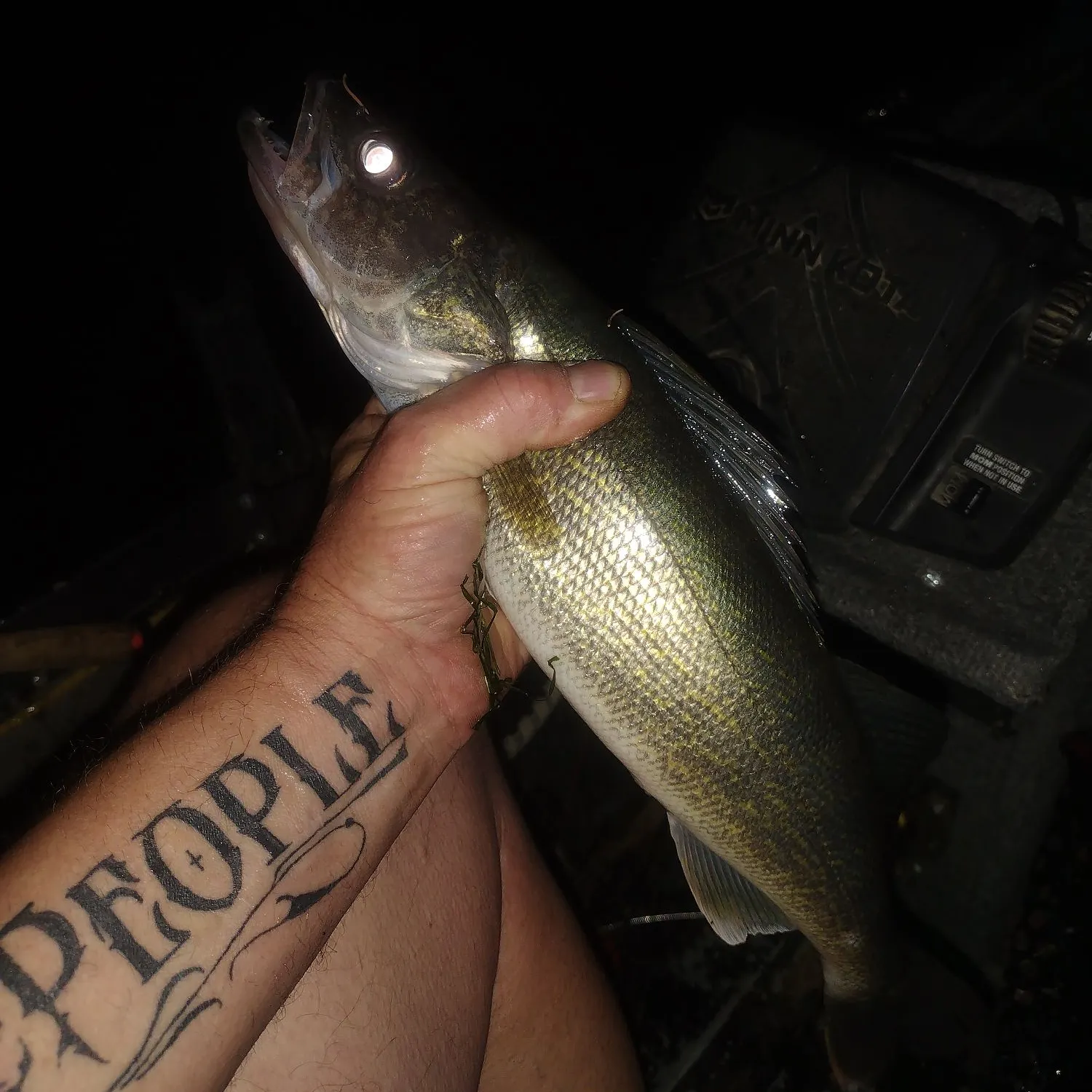recently logged catches