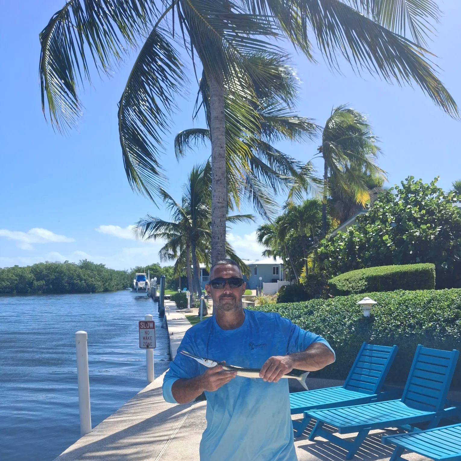 The most recent Atlantic needlefish catches on Fishbrain