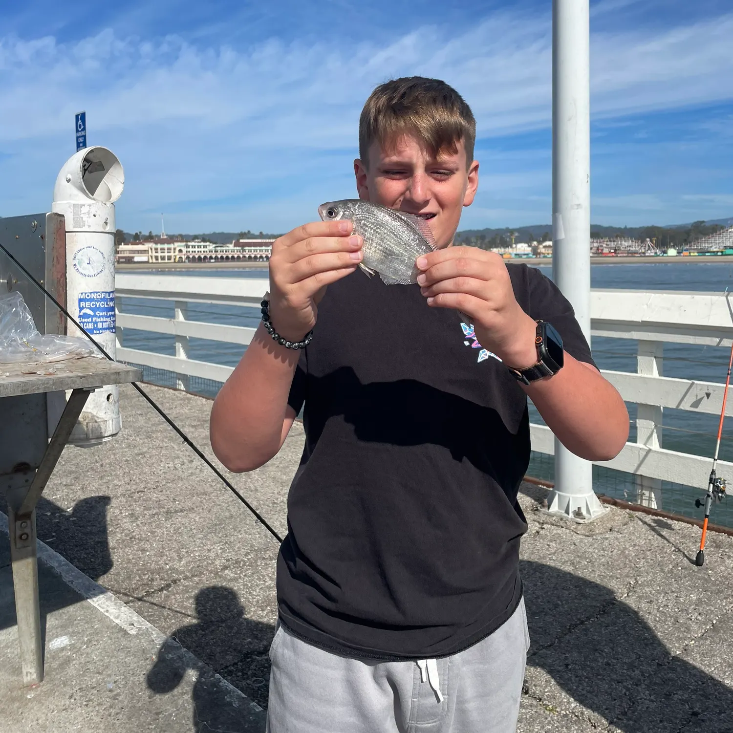 The most recent Silver surfperch catches on Fishbrain
