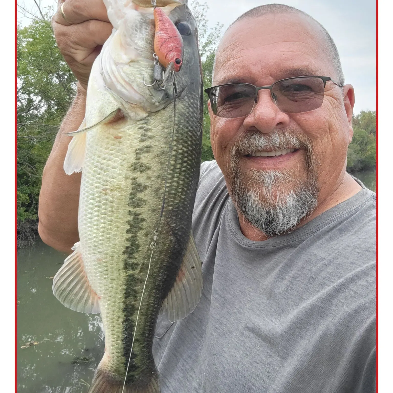 Largemouth bass caught on Fishbrain