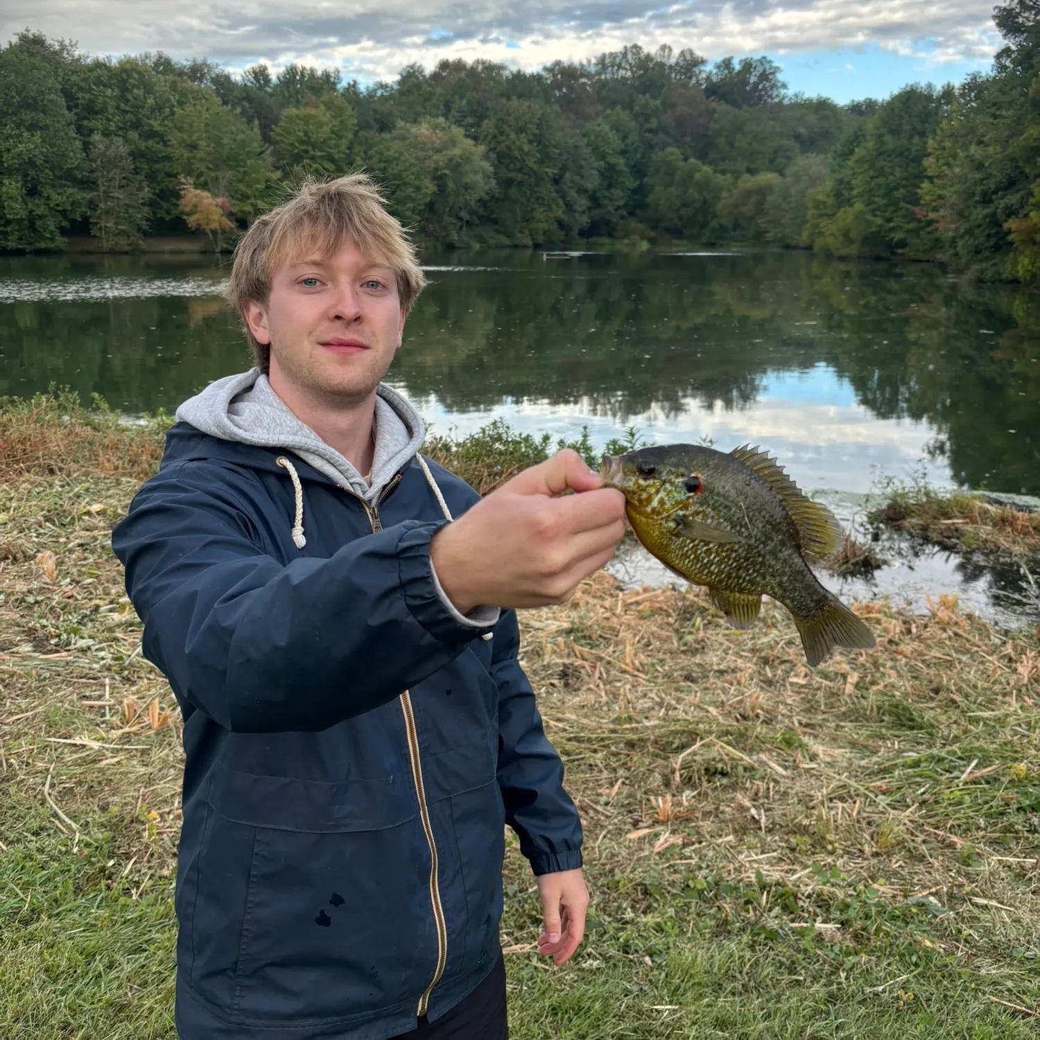 Redear sunfish caught on Fishbrain