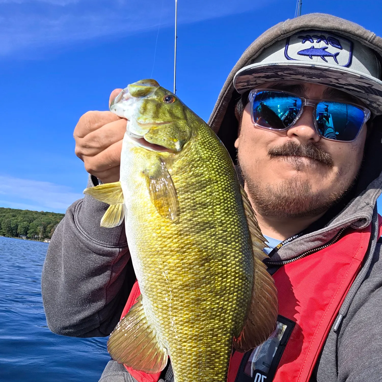 Smallmouth bass caught on Fishbrain