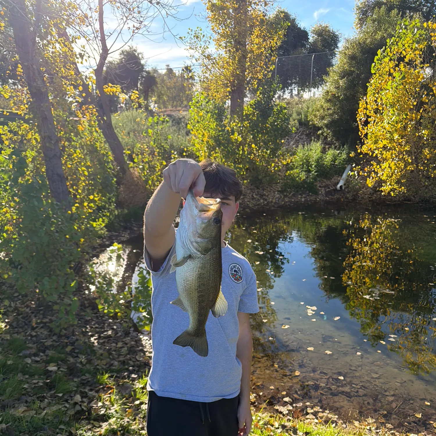 The most recent Largemouth bass catches on Fishbrain
