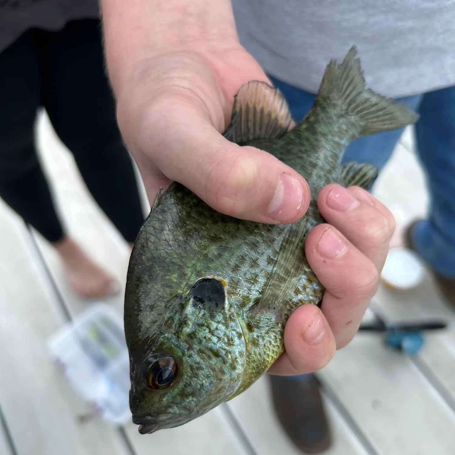 catch