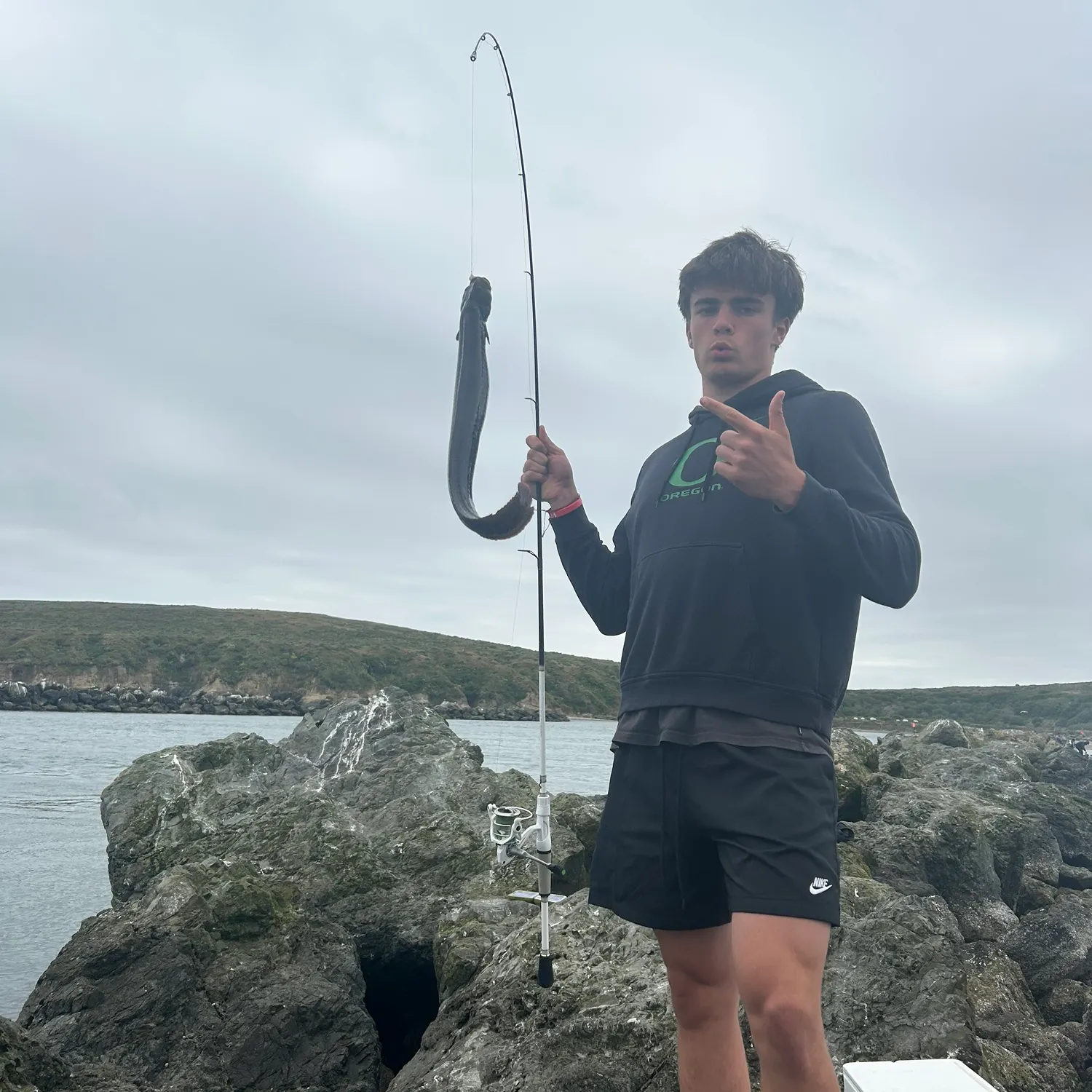 The most recent Monkeyface prickleback catches on Fishbrain