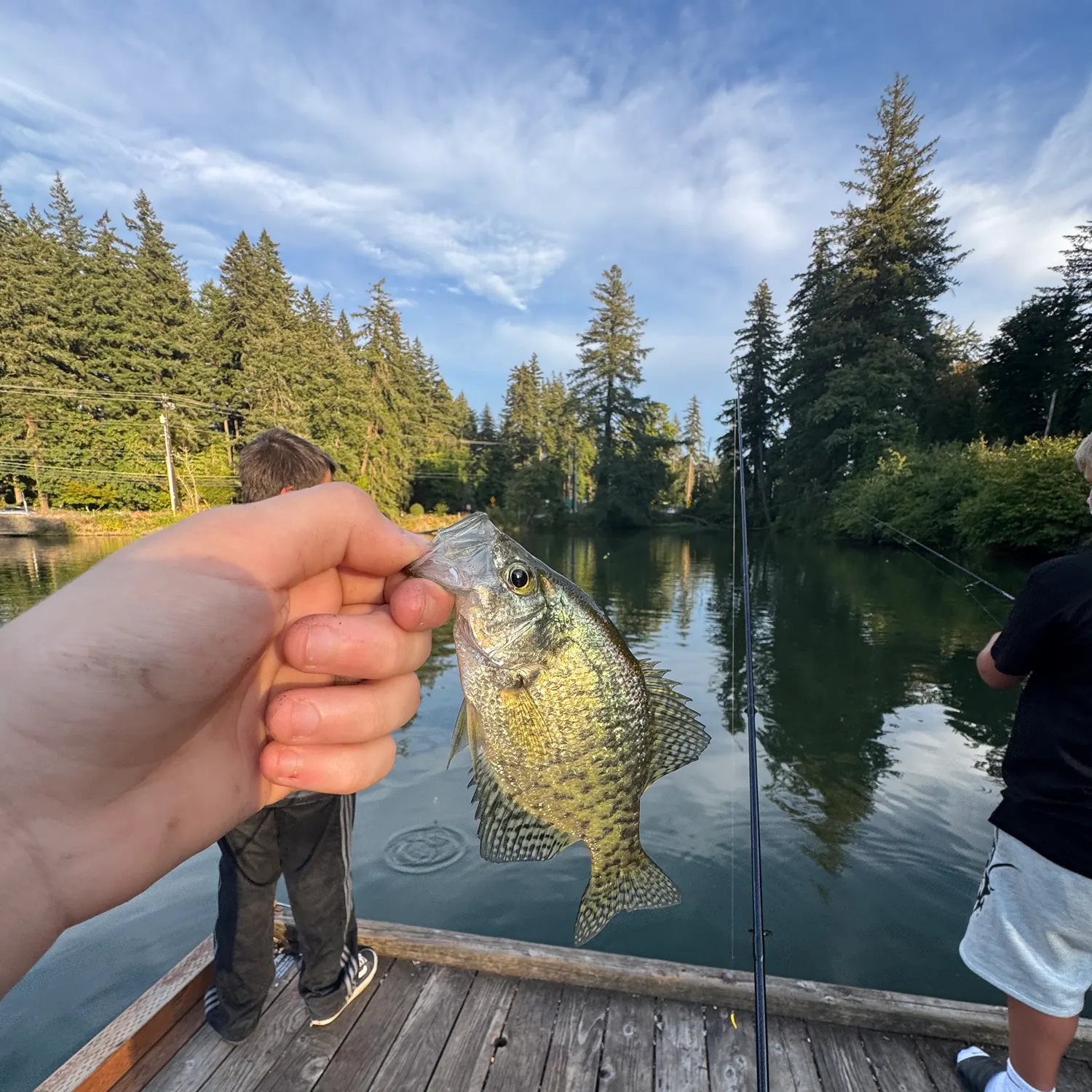 catch