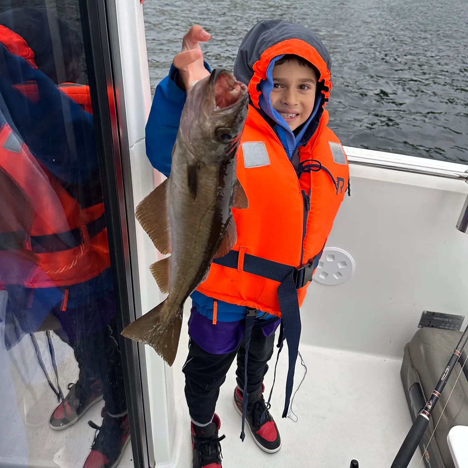 Pollack caught on Fishbrain