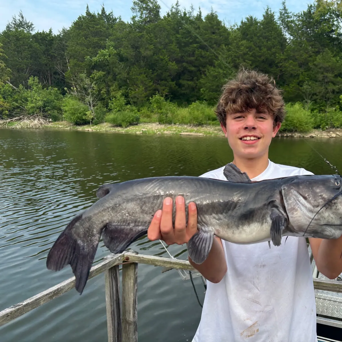 Channel catfish caught on Fishbrain