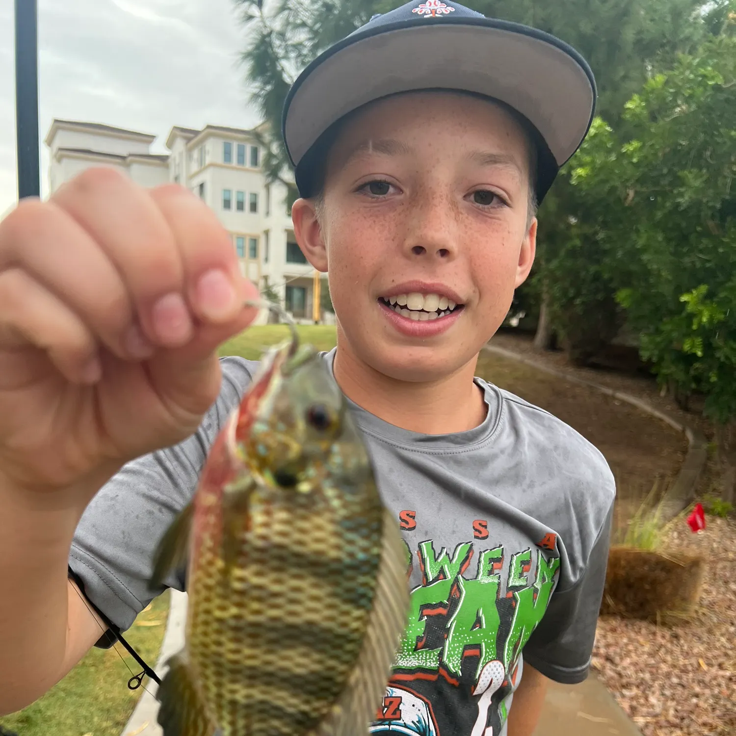 Redbelly tilapia caught on Fishbrain