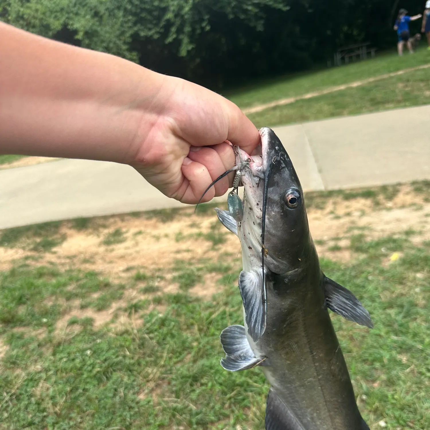 catch