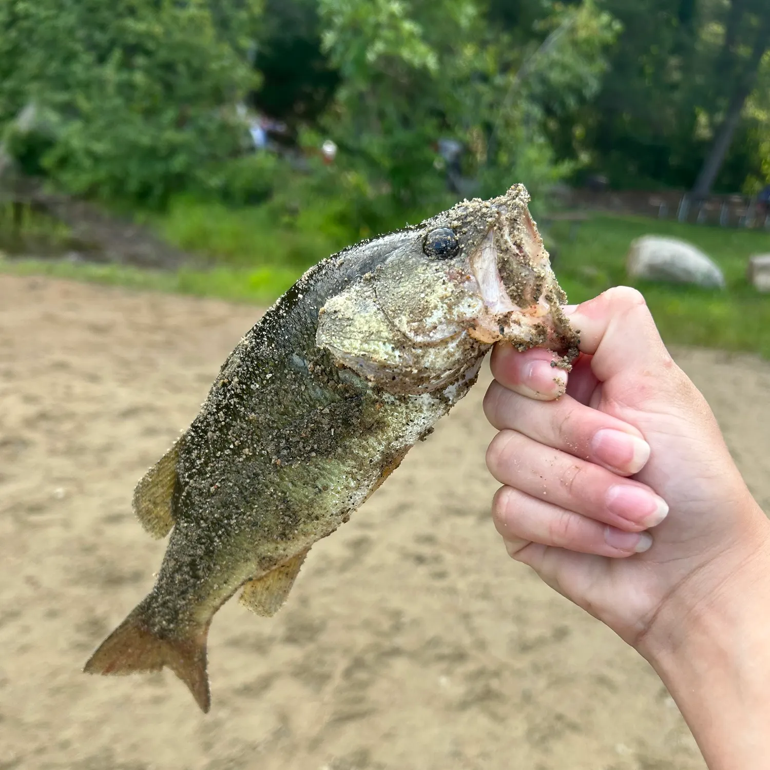catch