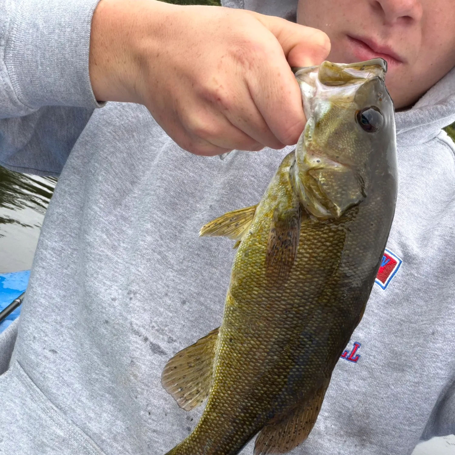 Smallmouth bass caught on Fishbrain