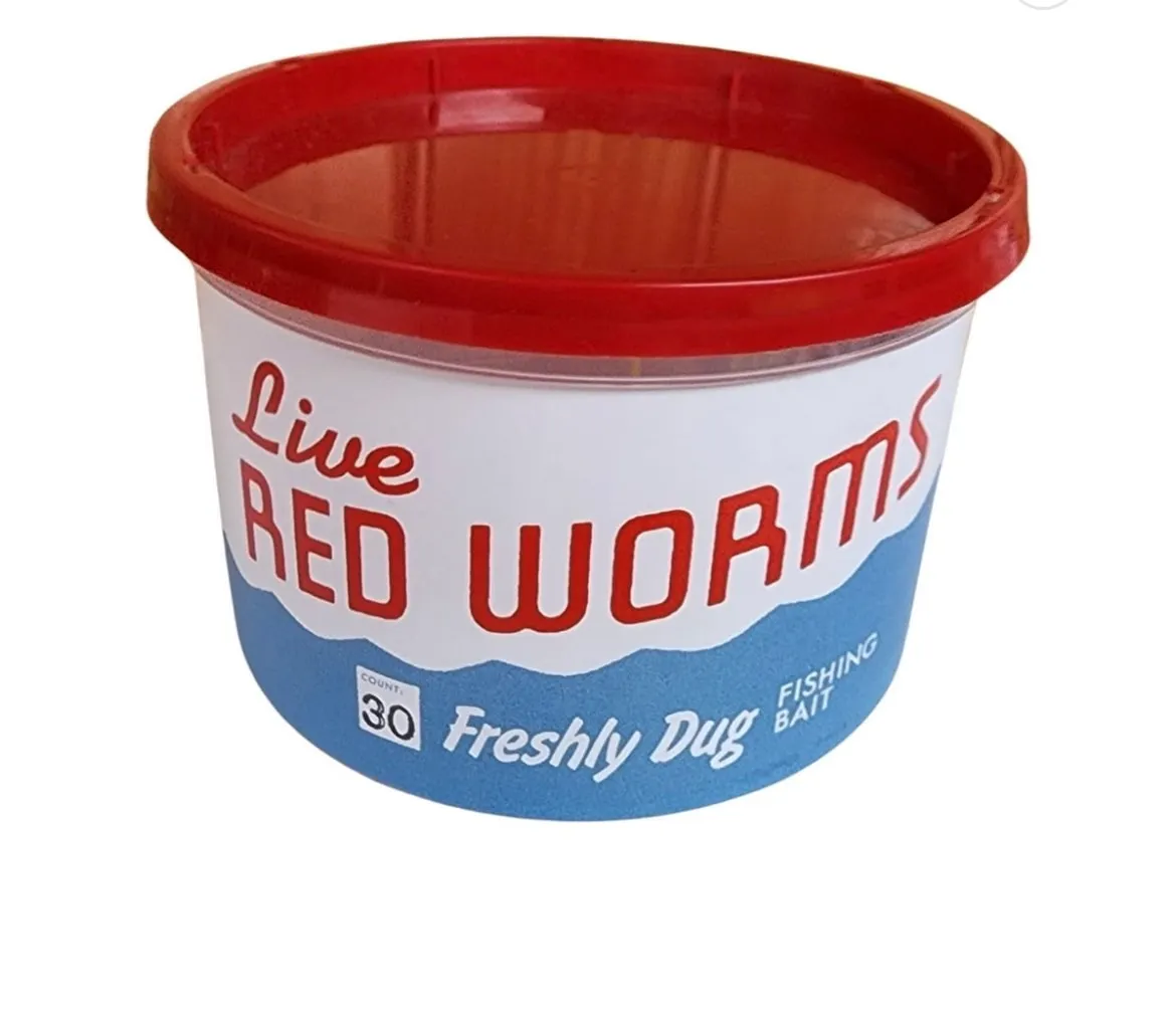 Live Red Worms