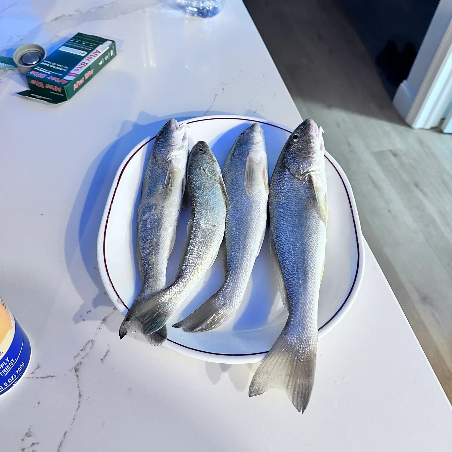 The most recent Gulf kingcroaker catches on Fishbrain