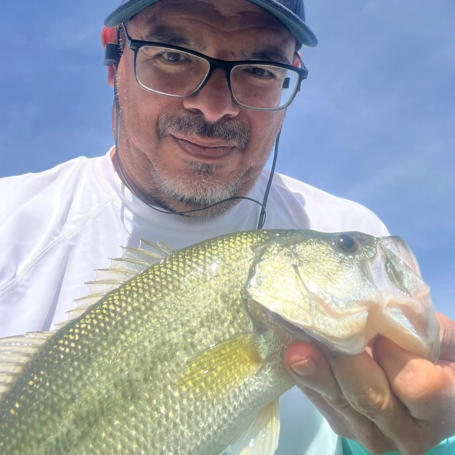 angler catch