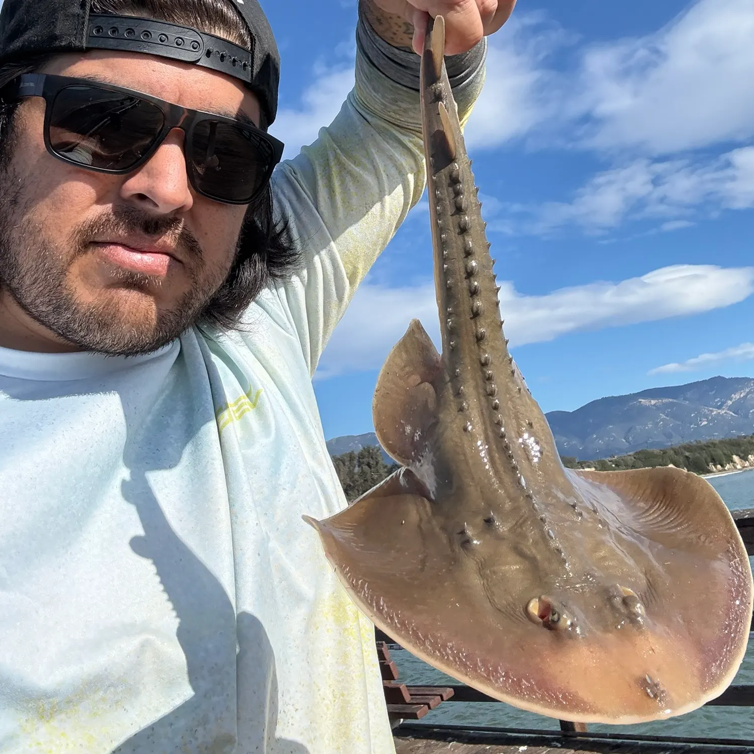 The most recent Thornback ray catches on Fishbrain