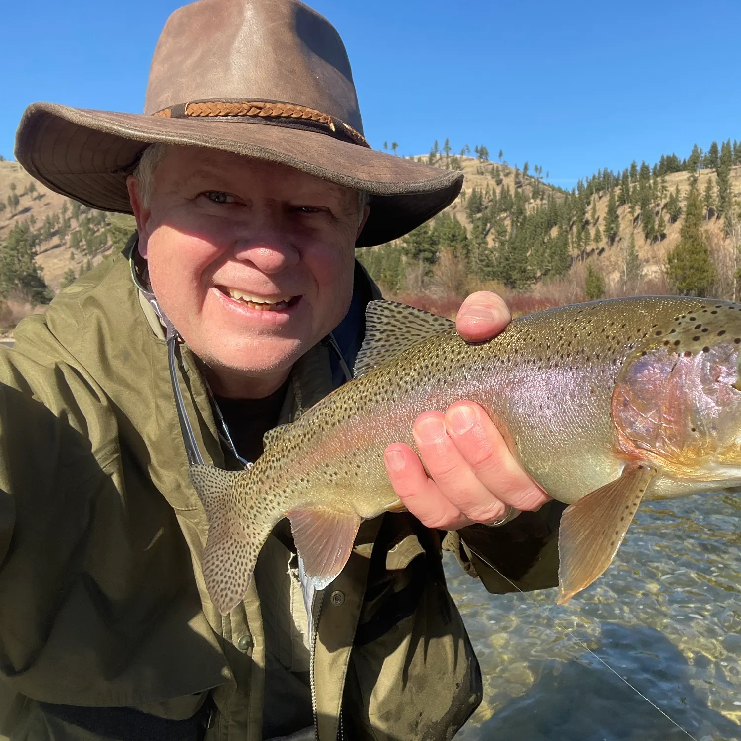 Rainbow trout caught on Fishbrain