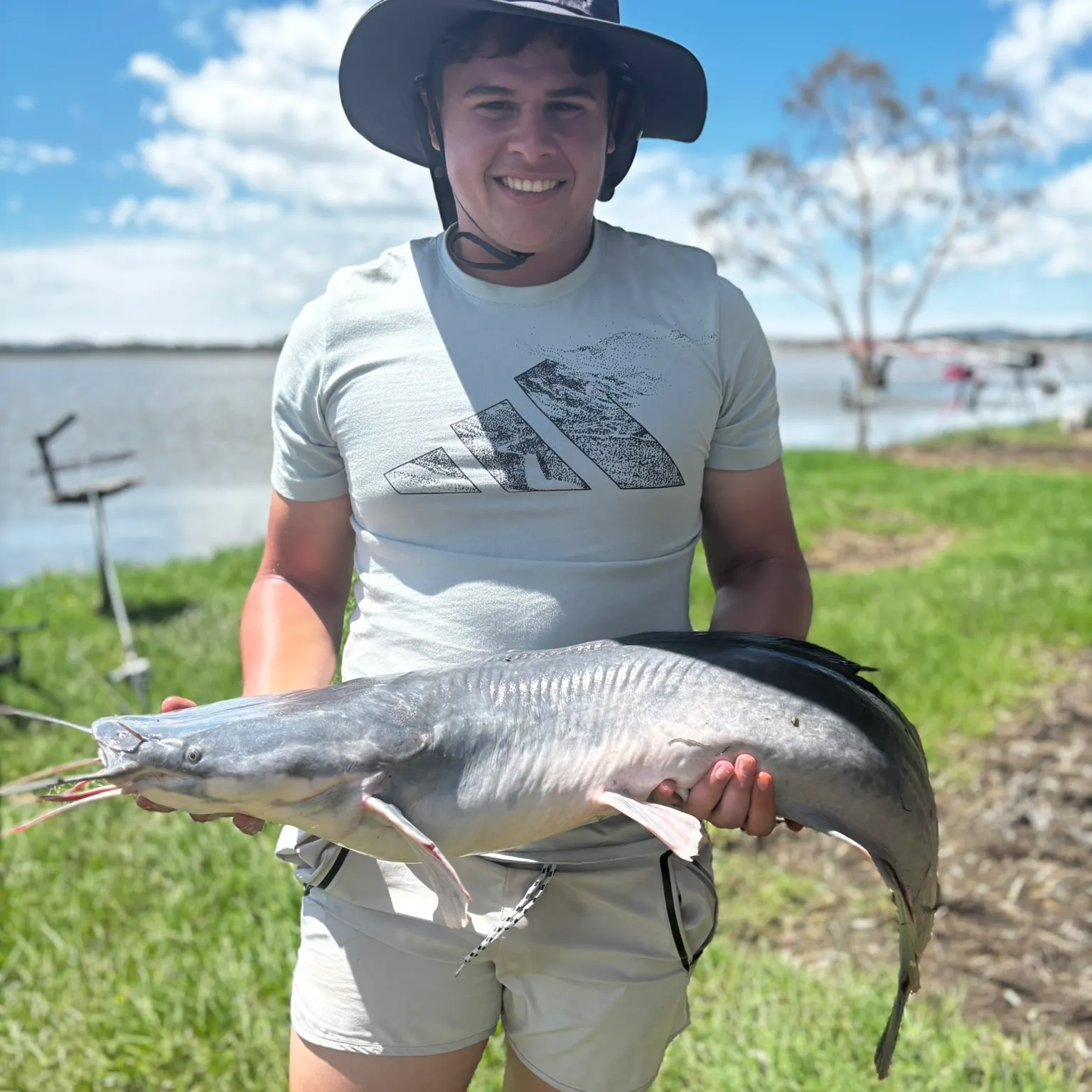 The most recent North African catfish catches on Fishbrain