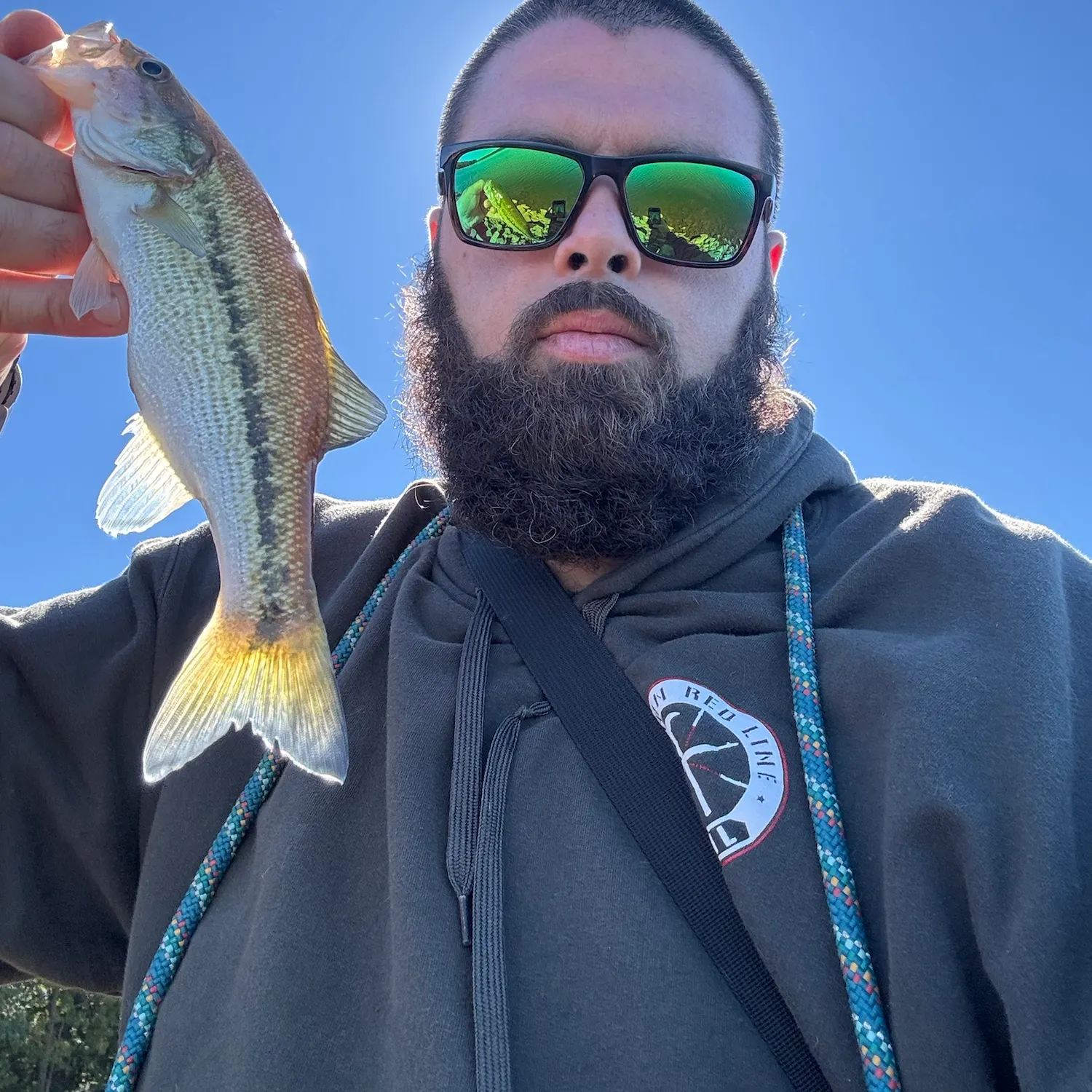 Spotted bass caught on Fishbrain