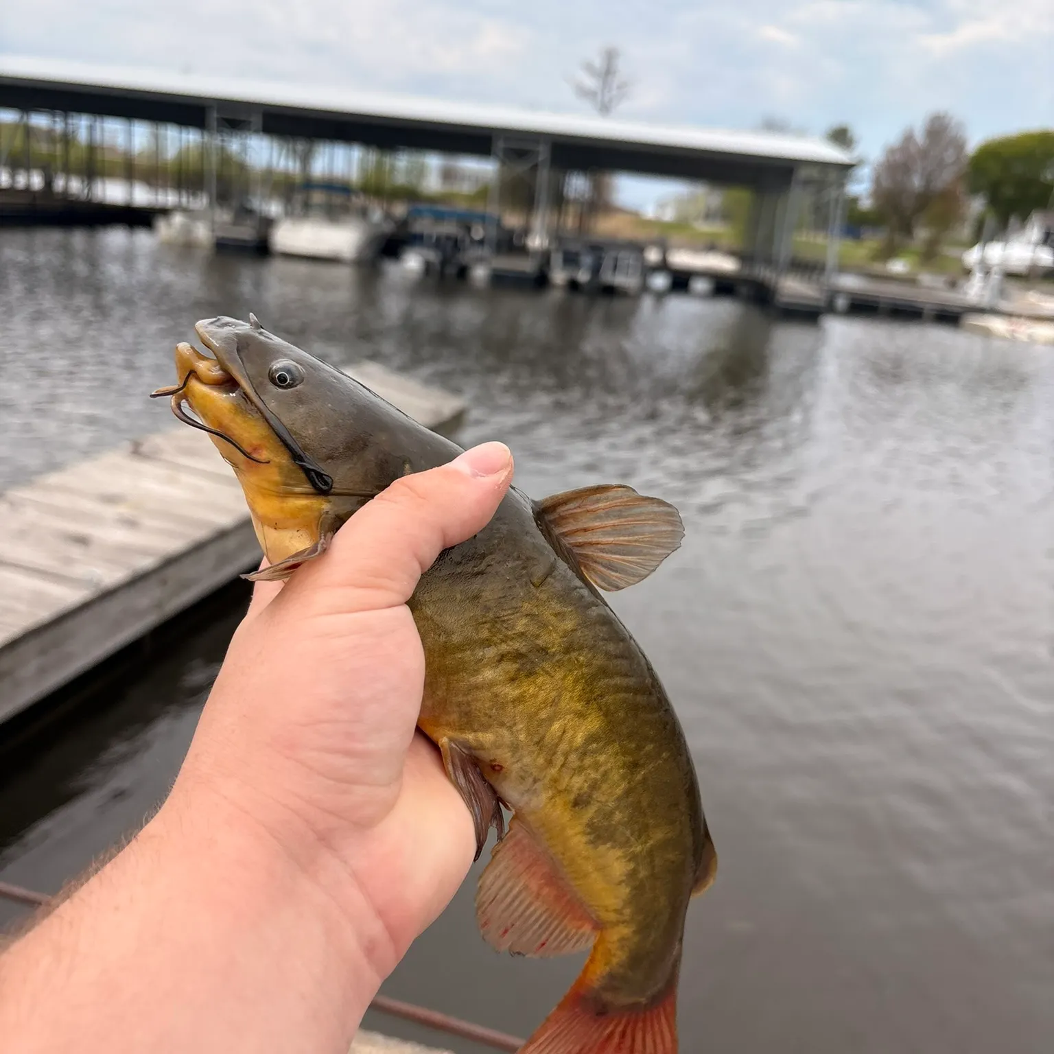 catch