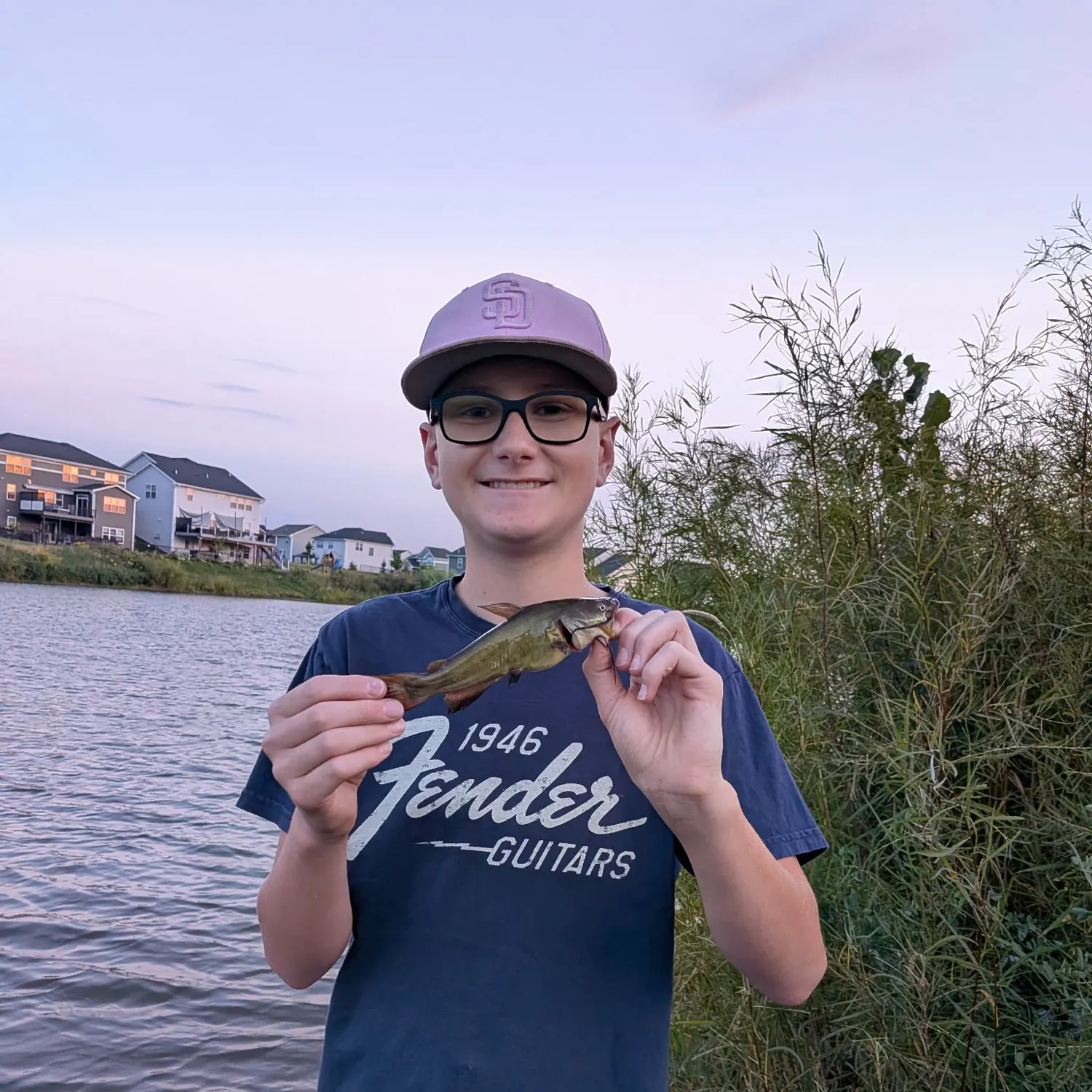 Black bullhead caught on Fishbrain