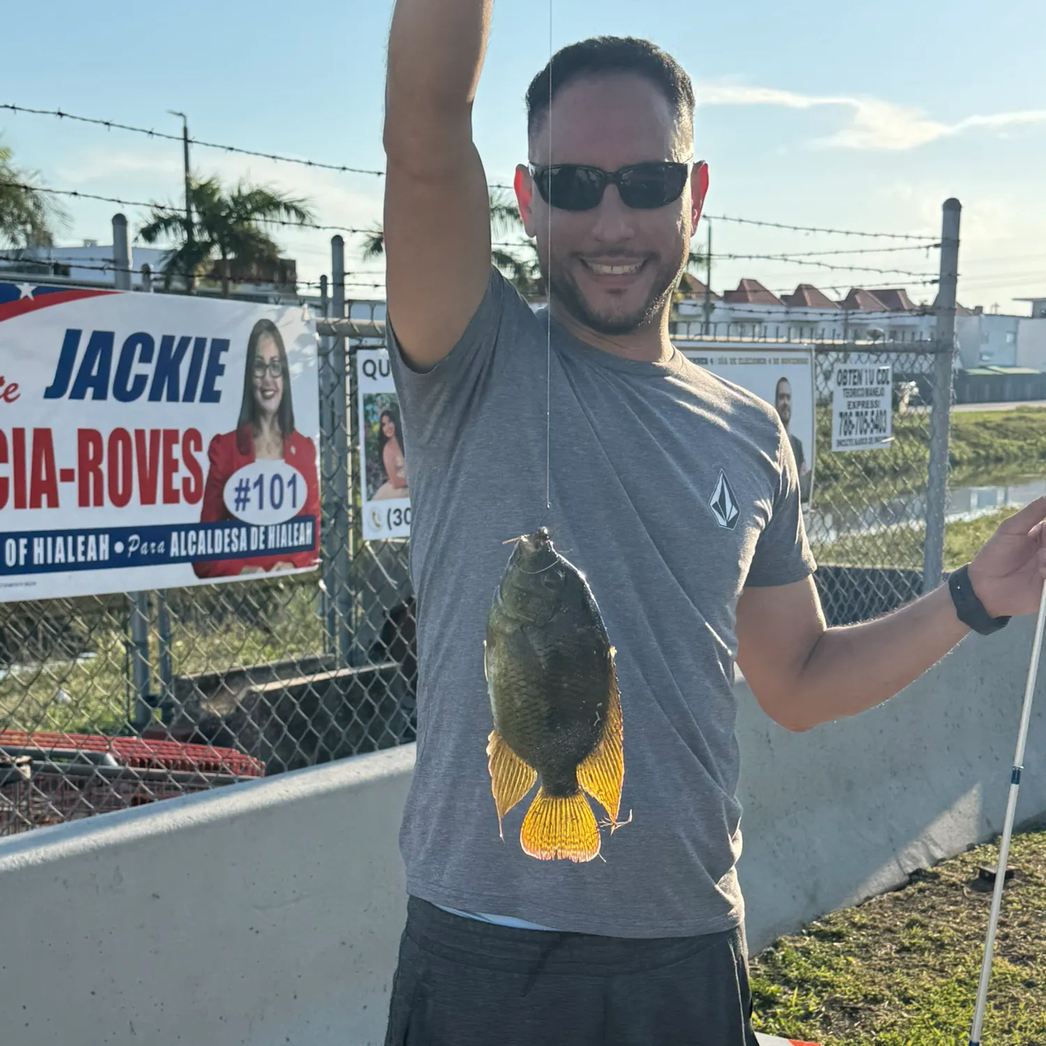 The most recent Spotted tilapia catches on Fishbrain