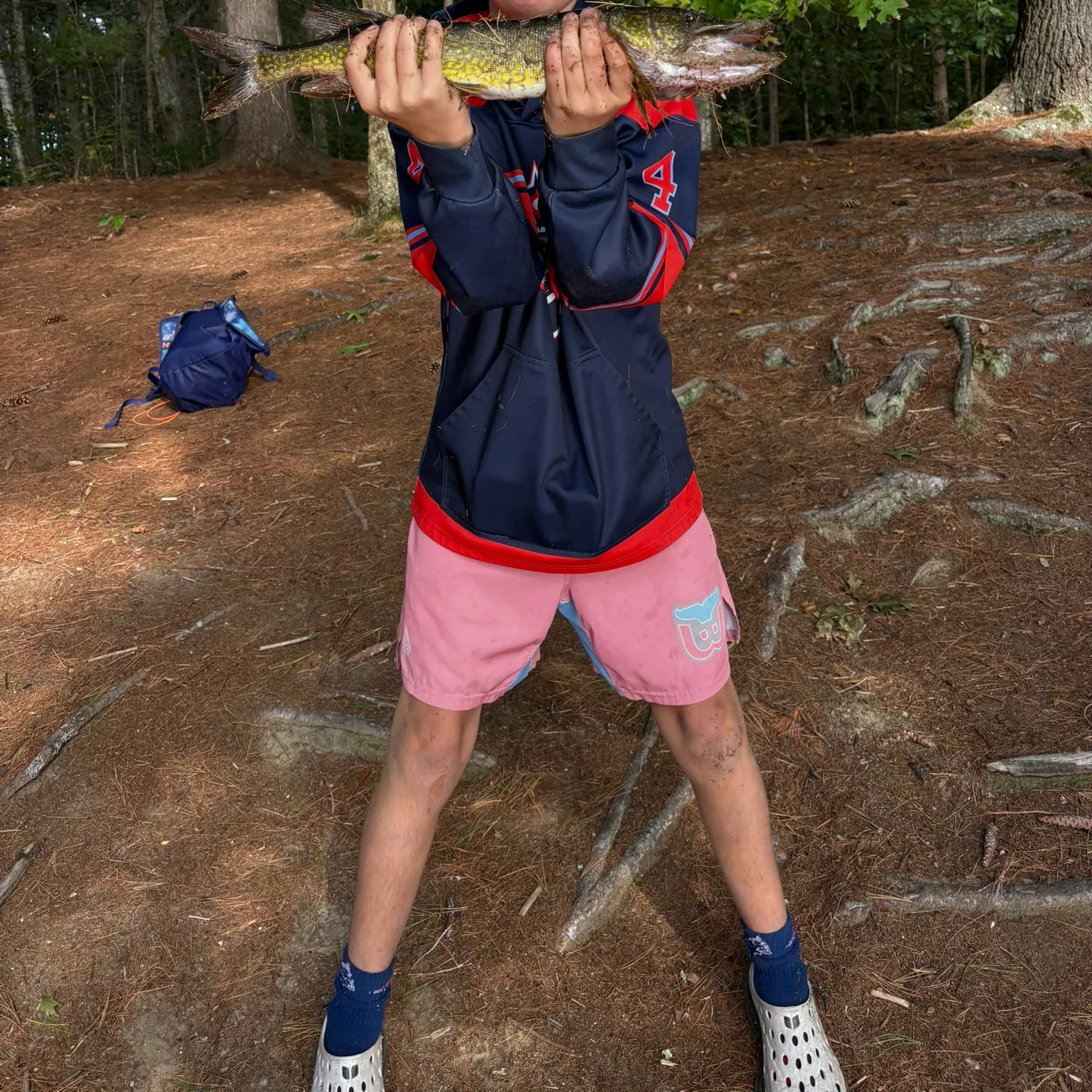 Chain pickerel caught on Fishbrain