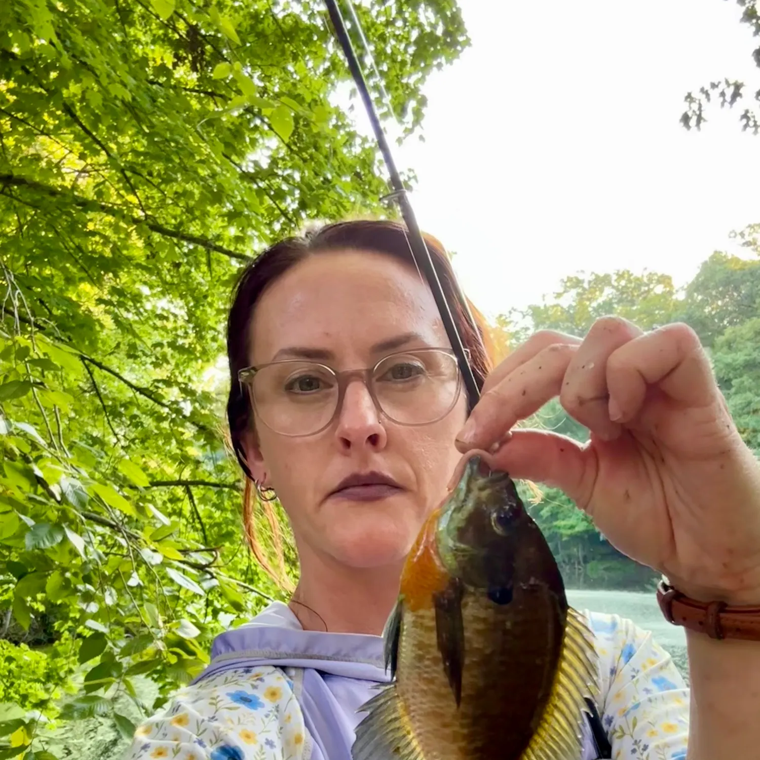 Bluegill caught on Fishbrain