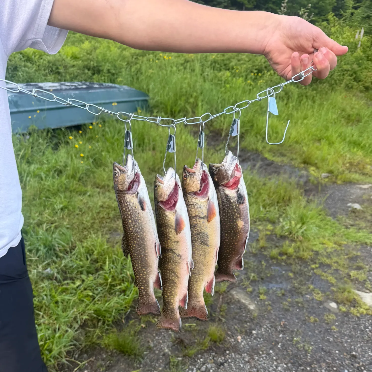 catch