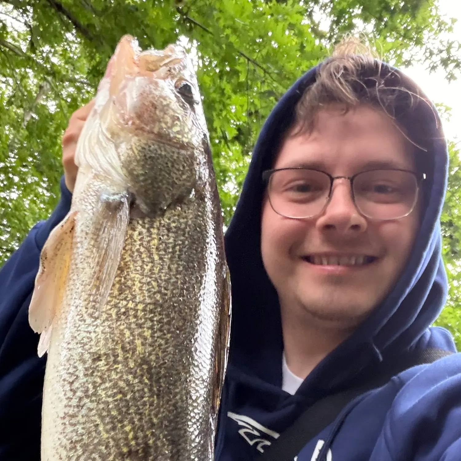 Walleye caught on Fishbrain
