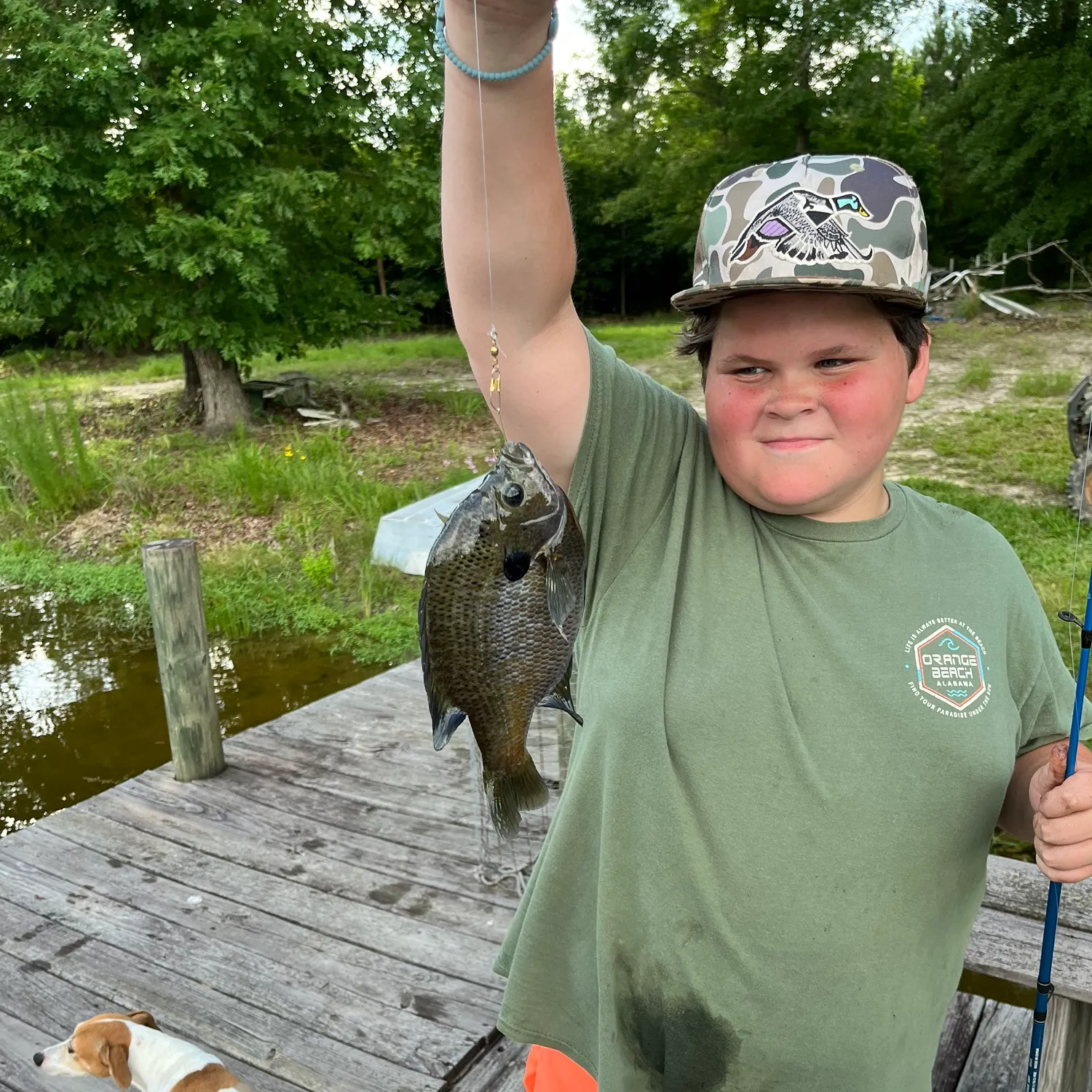 recently logged catches
