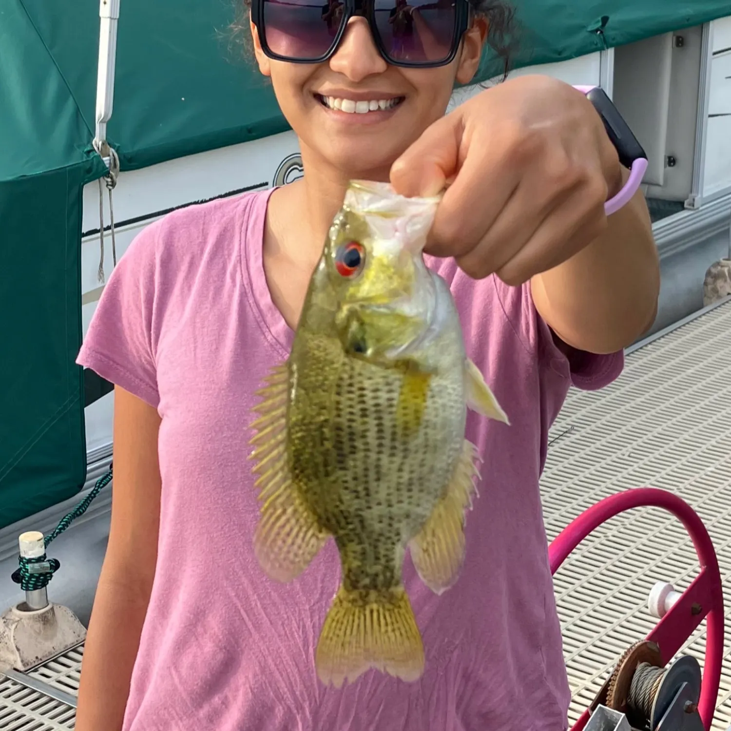 recently logged catches