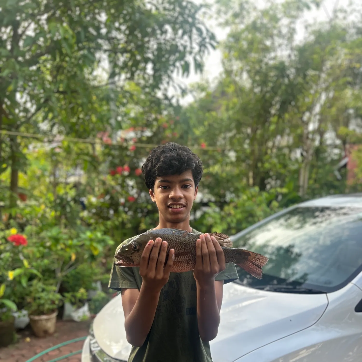 The most recent Mangrove red snapper catches on Fishbrain