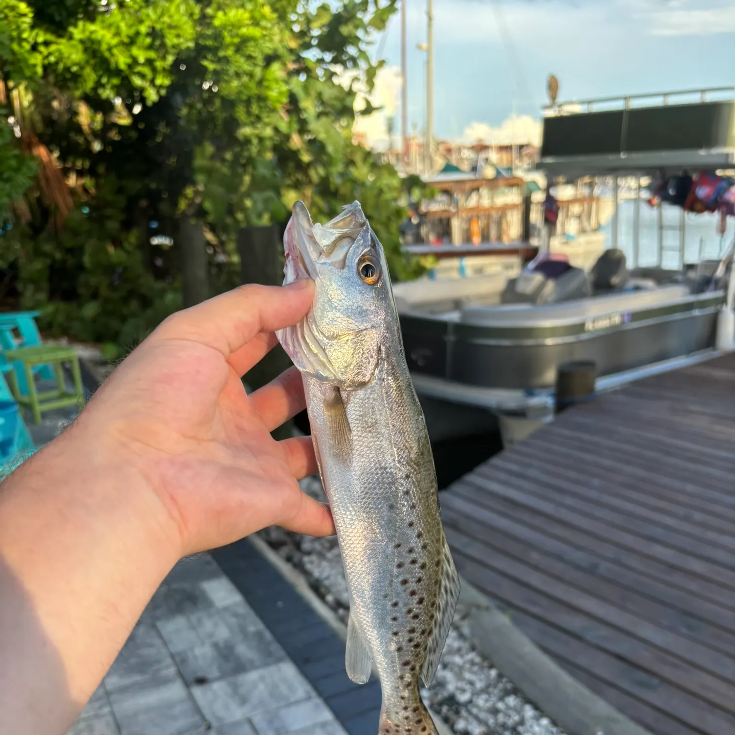 catch
