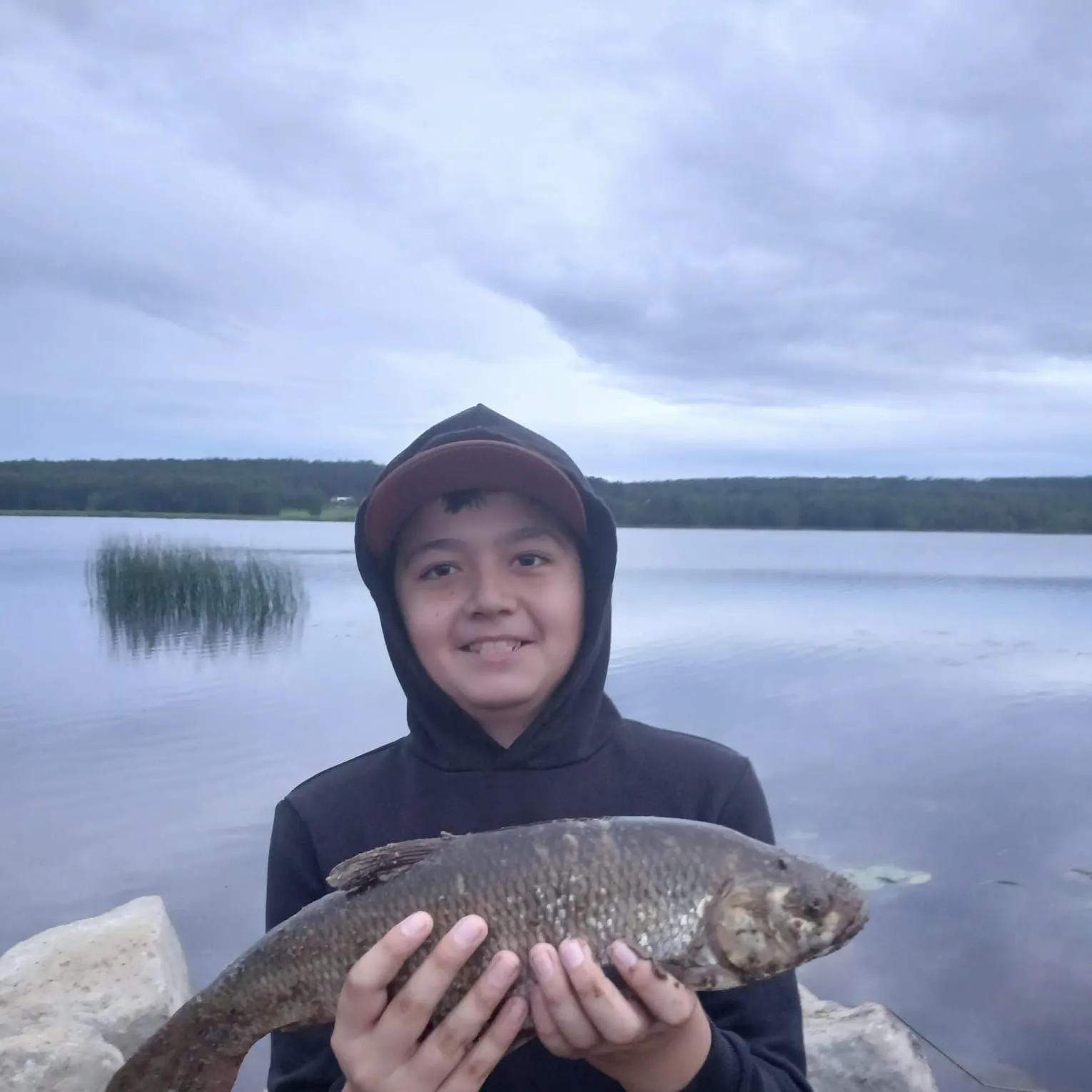 Ide caught on Fishbrain