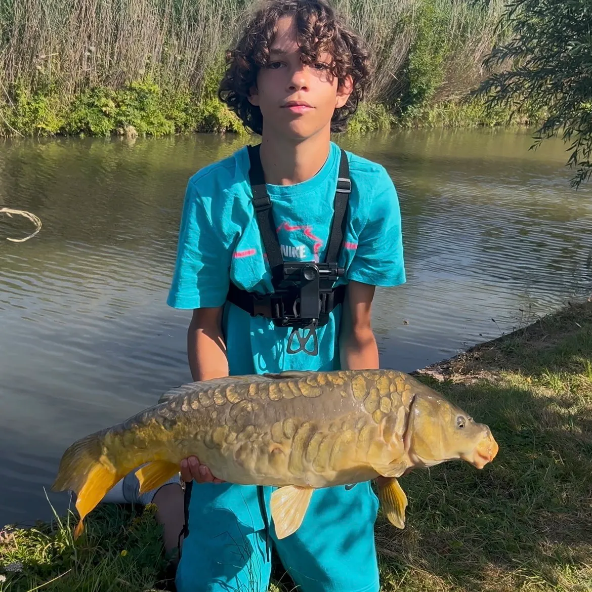 Mirror carp caught on Fishbrain