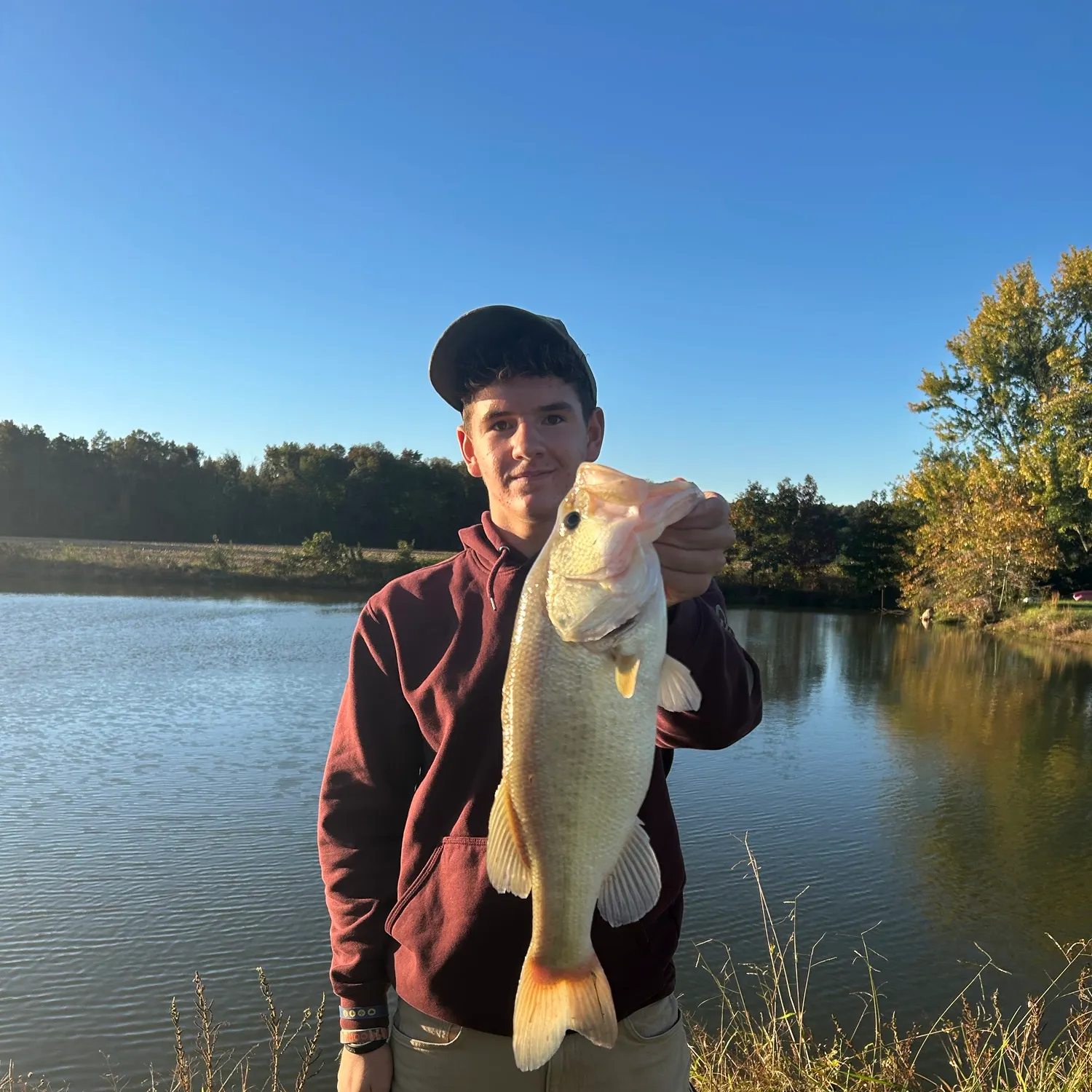 Largemouth bass caught on Fishbrain