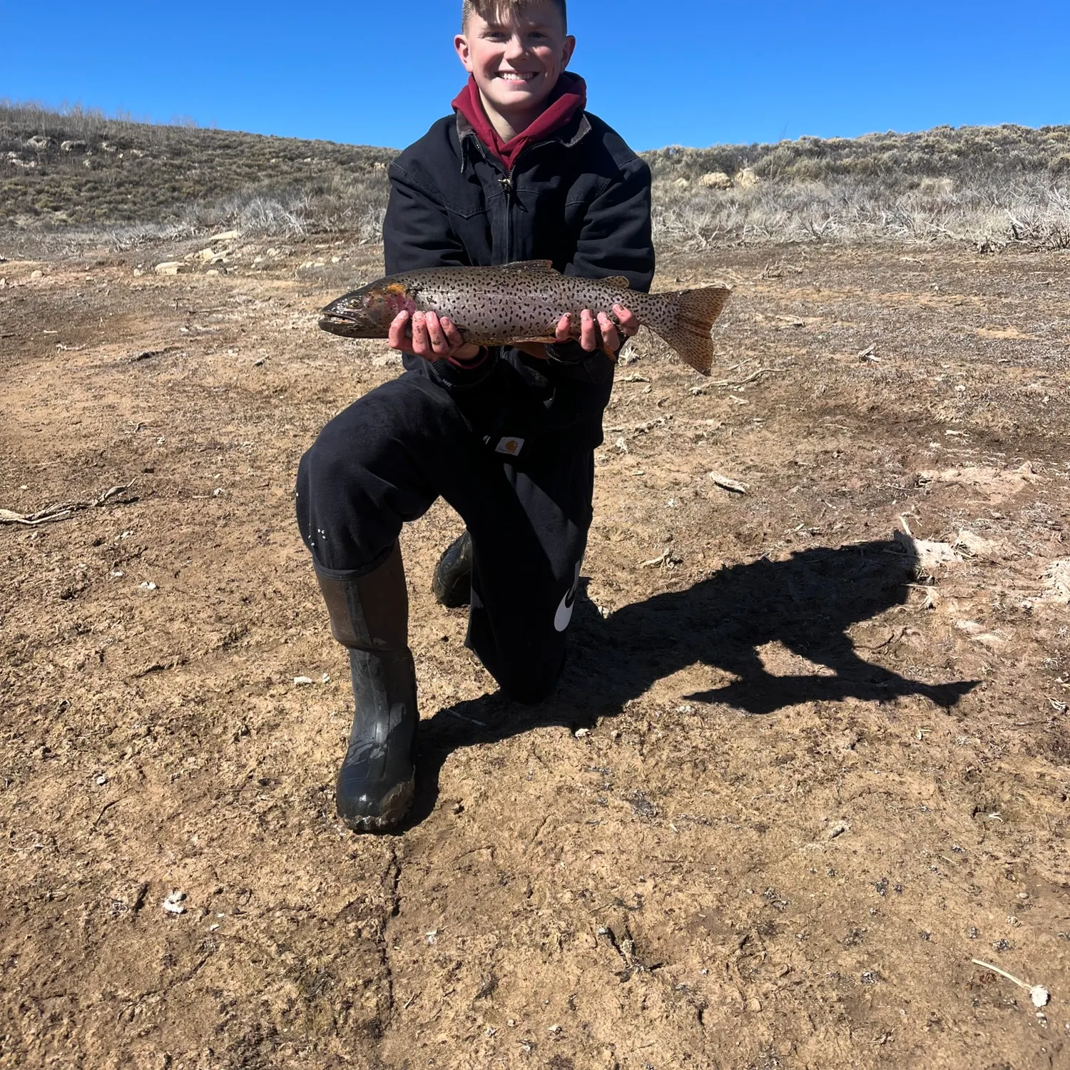 The most recent Bear Lake cutthroat trout catches on Fishbrain