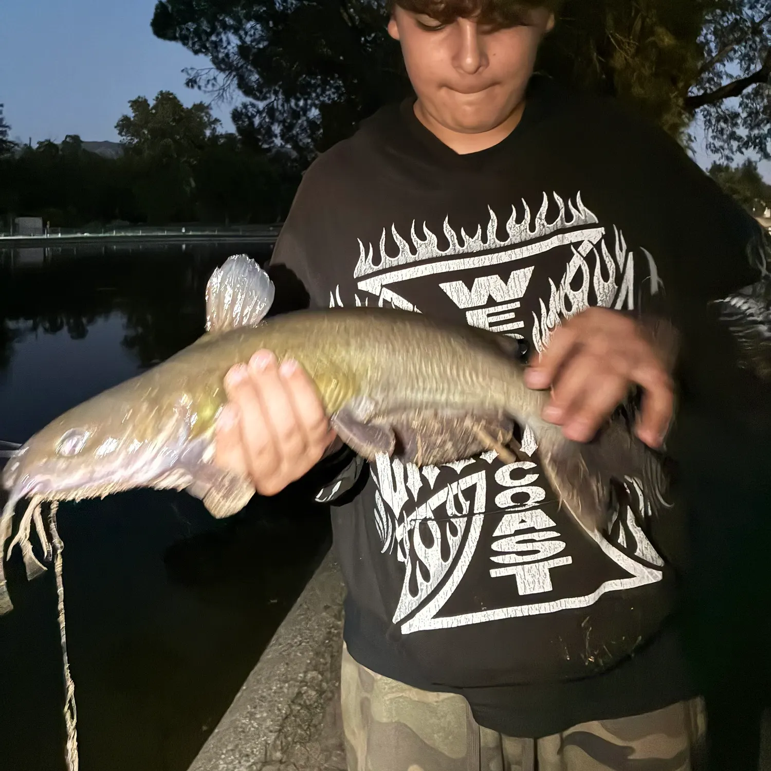 Channel catfish caught on Fishbrain