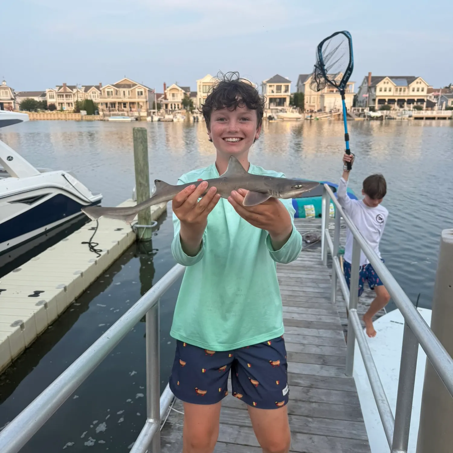 Dusky smooth-hound caught on Fishbrain