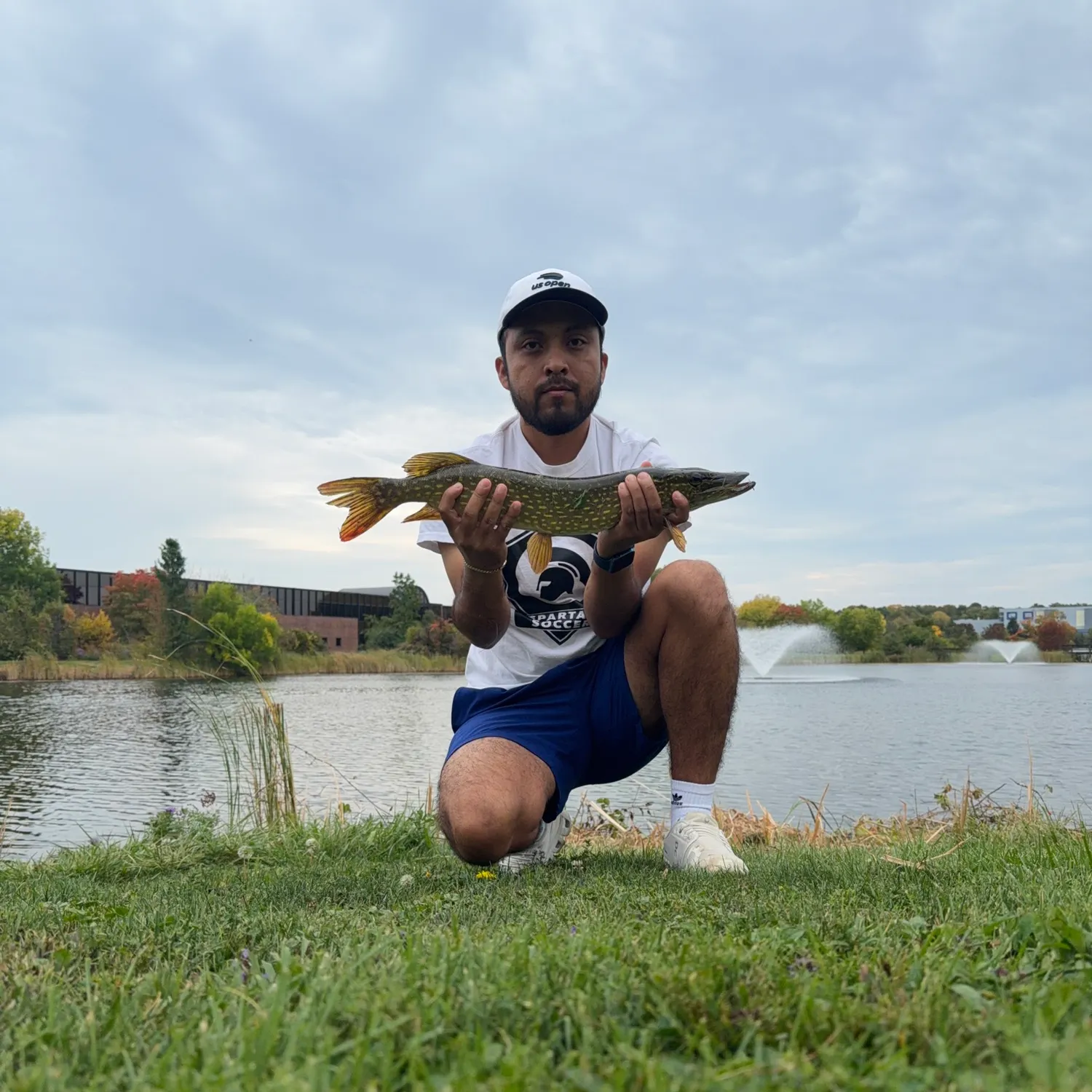 Northern pike caught on Fishbrain