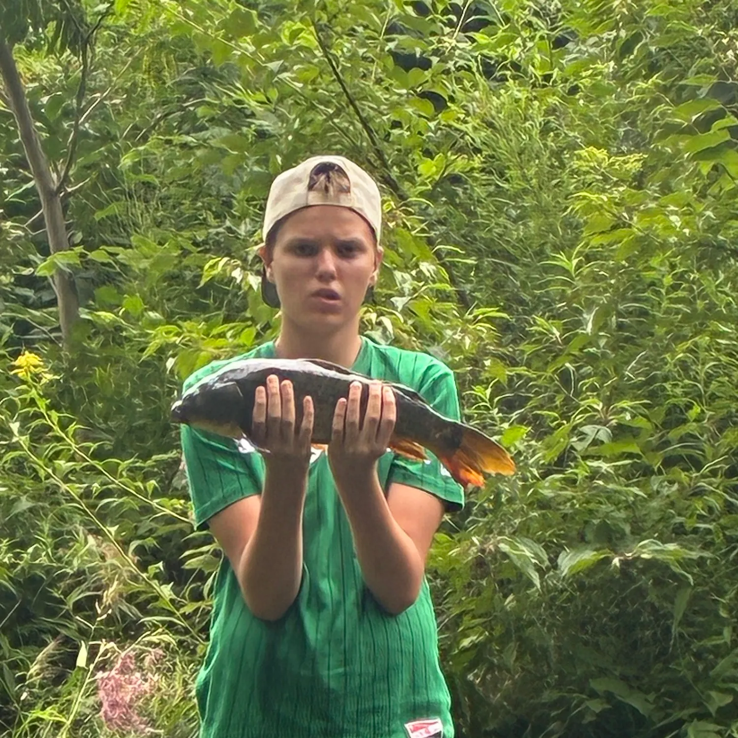 Common carp caught on Fishbrain